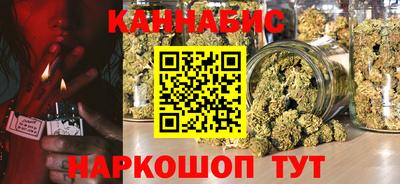крисы Нальчик