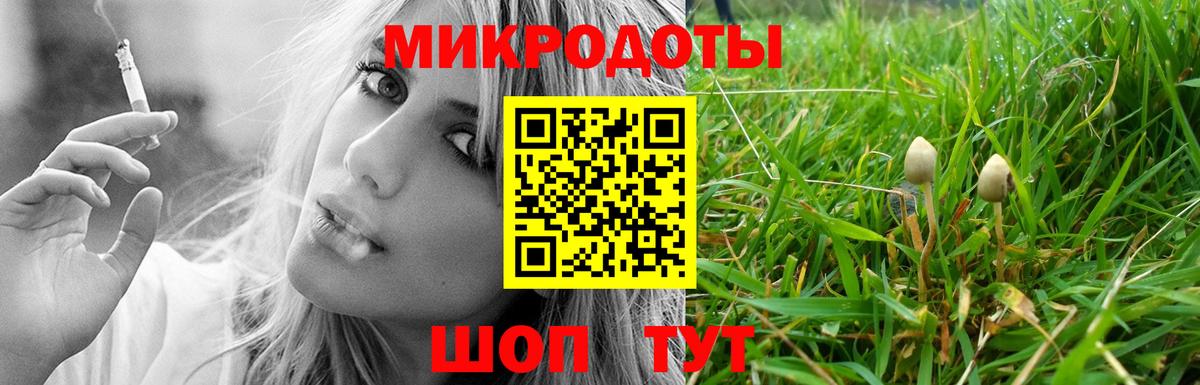 Псилоцибиновые грибы Magic Shrooms Новокубанск